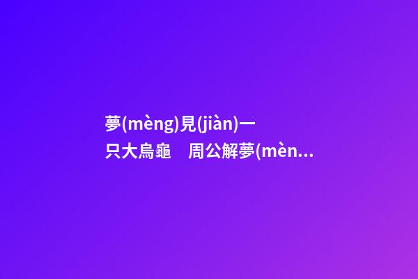夢(mèng)見(jiàn)一只大烏龜　周公解夢(mèng)之夢(mèng)到一只大烏龜